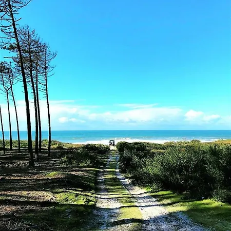 Malu Design
